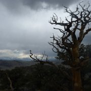 MonoBasin 063 : MonoBasin